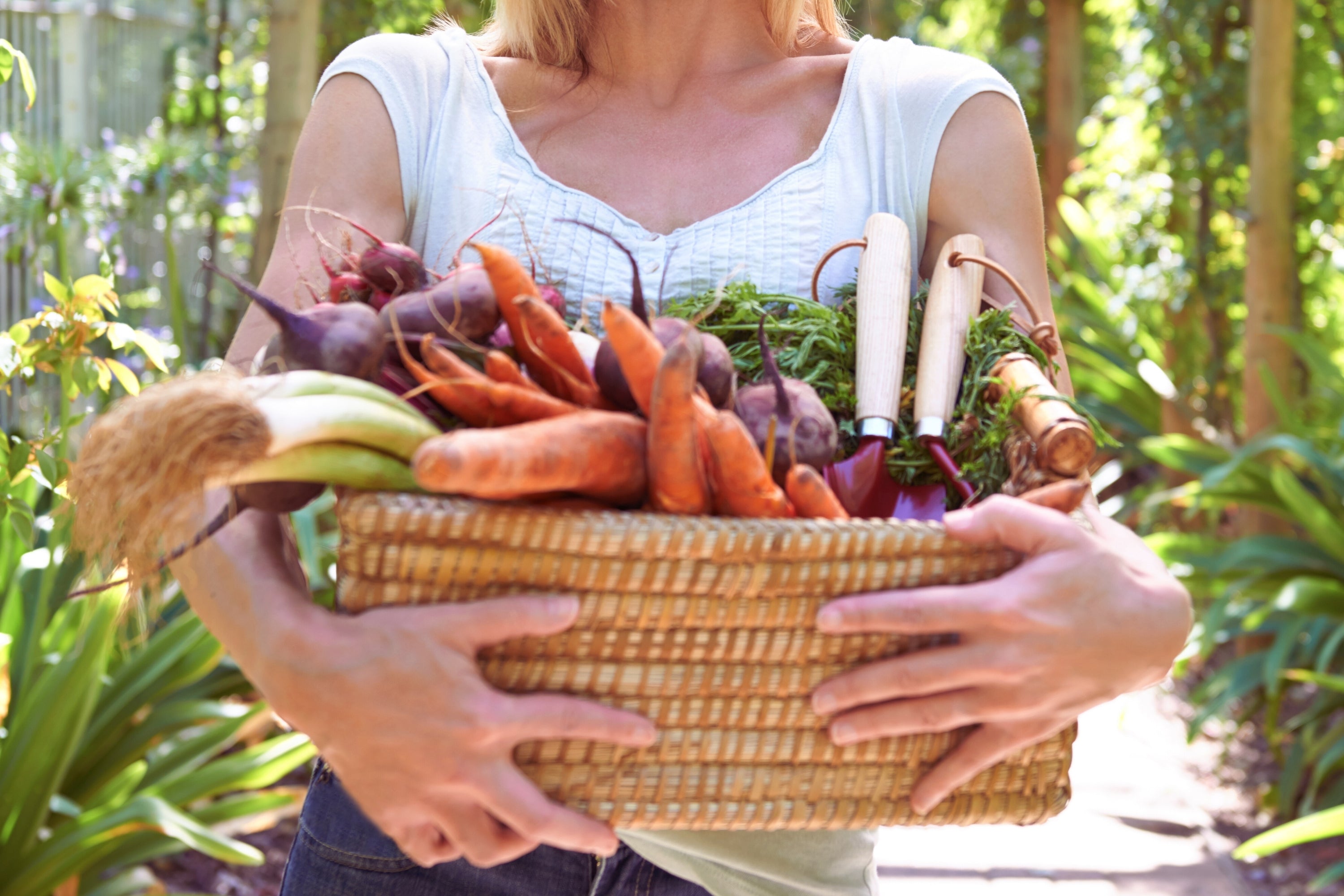 Combination multivitamins and minerals collection by Vita NutriUS