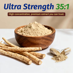 1Body Shoden Ashwagandha root extract 35:1 close-up highlighting potency.