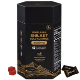 5Loaf2Fish Shilajit Gummies bottle signaling a mineral-rich daily vitality supplement.