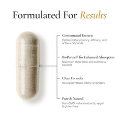 ACEWORKZ Elite Brain packaging on desk conveys professional, science-backed nootropics