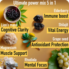 ad hoc shilajit gummies ingredients panel: magnesium, lion's mane, rhodiola for focus and stamina