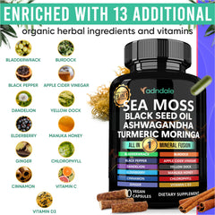 Adndale Sea Moss 18-in-1 Fusion label highlights natural ingredients and formulation.