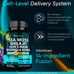 Adndale True Sea Moss Capsules label displayed for quality and purity.