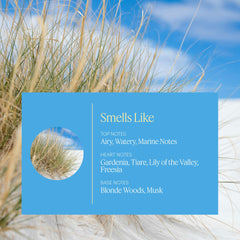 Aera Mini Beach House diffuser with Microdroplet technology for clean immersive scent delivery.