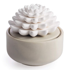 Airomé White Succulent diffuser base for silent fragrance diffusion in small spaces.