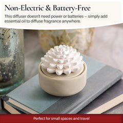 Airomé White Succulent diffuser with flower-wick activation for easy aromatherapy.