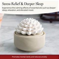 Airomé White Succulent diffuser porcelain finish complements modern decor.