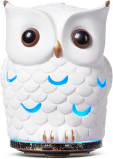 ALIEYE Owl Diffuser ceramic hand-painted close-up highlighting craftsmanship and decor appeal