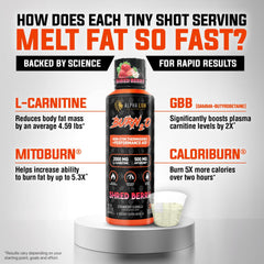 ALPHA LION Burn2O L-Carnitine Grapezilla flavor bottle conveys tasty pre-workout shot option.