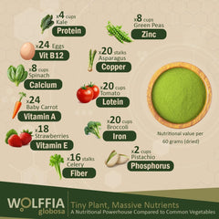 AMA GROW Wolffia dried texture close-up highlights tiny nutrient-rich particles.