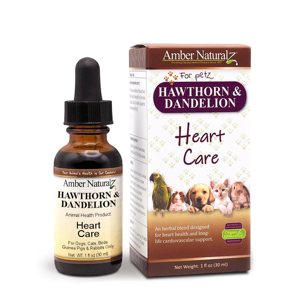 Amber NaturalZ hawthorn-dandelion bottle illustrating heart support for pets.