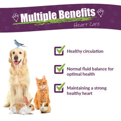 Amber NaturalZ dropper shows easy dosing for pets' daily heart care.