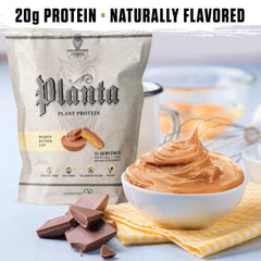 Ambrosia Planta fermented sunflower BCAAs support lean muscle after workouts