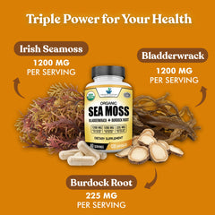 American Standard Supplements Bladderwrack capsules suitable for gluten-free lifestyles.
