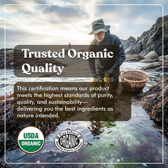 American Standard Supplements Sea Moss label close-up highlighting organic ingredients.
