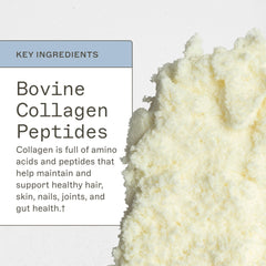 Label of Amy Myers MD collagen protein powder showing clean gluten-free formula