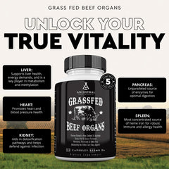 Ancestral Supplements grass-fed heart bottle highlighting CoQ10 and heart vitality
