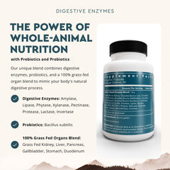 Ancestral Supplements organ blend featuring gallbladder, stomach, and duodenum for holistic nourishment.