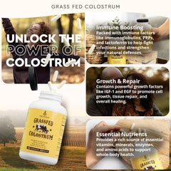 Ancestral Supplements pasture-raised cows in a green field, grass-fed sourcing