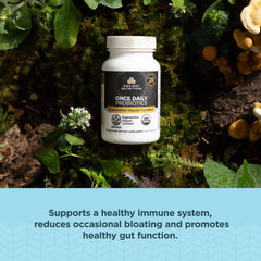 Ancient Nutrition fermented ginger root highlighting gut-friendly ingredients