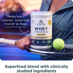 Scoop of Ancient Nutrition powder ready to blend into smoothies