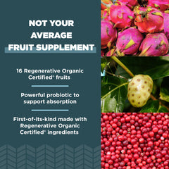 Mulberry fruit close-up from Ancient Nutrition blend offers natural fiber benefits.