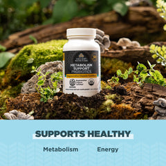 Ancient Nutrition postbiotics support a gut-friendly environment for digestion