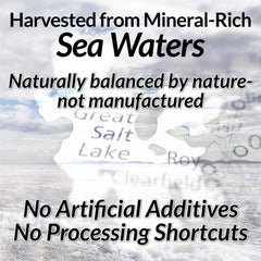 Anderson Sea M.D. mineral chart highlighting 79 minerals