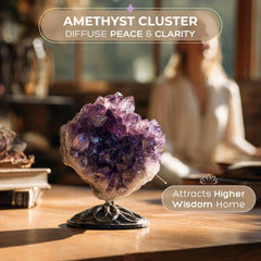 Anima amethyst geode small—radiates calm and intuitive light.