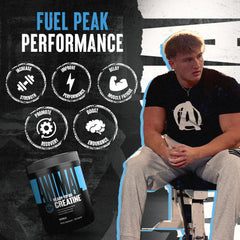 Daily routine with Animal Creatine capsules boosts endurance and recovery
