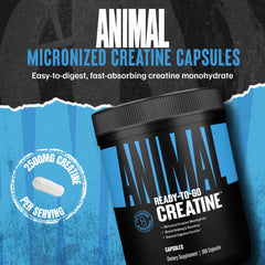 Animal Creatine capsules poured from bottle for quick pre- or post-workout use
