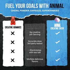 AstraGin-infused formula promotes absorption in Animal Creatine Chews