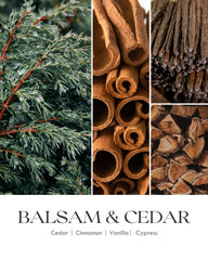 AOOVOO balsam cedar in a stylish living room ambiance