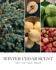 AOOVOO cedar candle with warm notes for inviting living room ambience