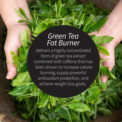Applied Nutrition Green Tea Fat Burner 3-pack display highlighting convenient daily routine.