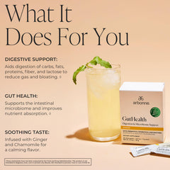 Arbonne Gut Health Digestion Drink Mix being stirred demonstrates easy daily use.