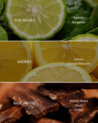 Aromadd Citrus diffuser oil pour releasing fragrance evenly.