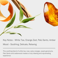 Aromatech White Tea diffuser setup highlights hotel-inspired aromatherapy benefits