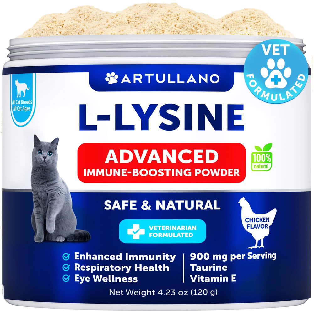 Artullano L-Lysine powder cat bottle showing easy dosing for immune support