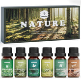 ARVIDSSON Nature Oils Set gift box ideal for DIY crafts