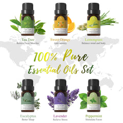 ASAKUKI six-oil set includes lavender, peppermint, eucalyptus, tea tree, lemongrass, orange