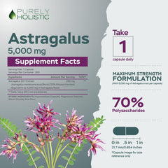 Astragalus capsules closeup emphasizes potency per capsule.