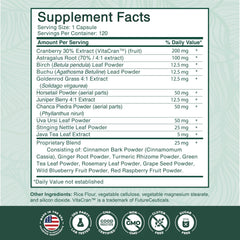 Astragalus root powder blend illustrating a natural herbal kidney health approach
