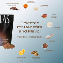 Close-up of mushroom blend ingredients like Lion’s Mane and Reishi.