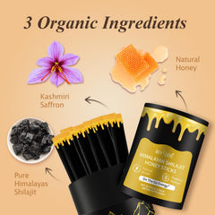 AUIXOPI Shilajit Honey Sticks pack shown for travel-friendly convenience