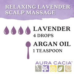 Aura Cacia Discover kit eucalyptus leaves ideal for refreshing diffuser sessions