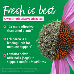 A.Vogel Echinaforce throat spray nozzle close-up highlights precise throat application.