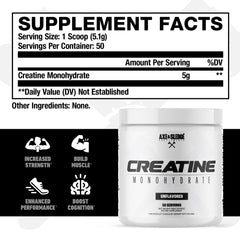 Basics Creatine powder-dispense demonstrates a clean, single-ingredient creatine monohydrate.