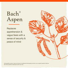 Close-up of Aspen packaging highlighting vegan, gluten-free formula.