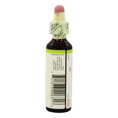 Bach Olive energy essence highlighted for natural emotional balance and resilience.